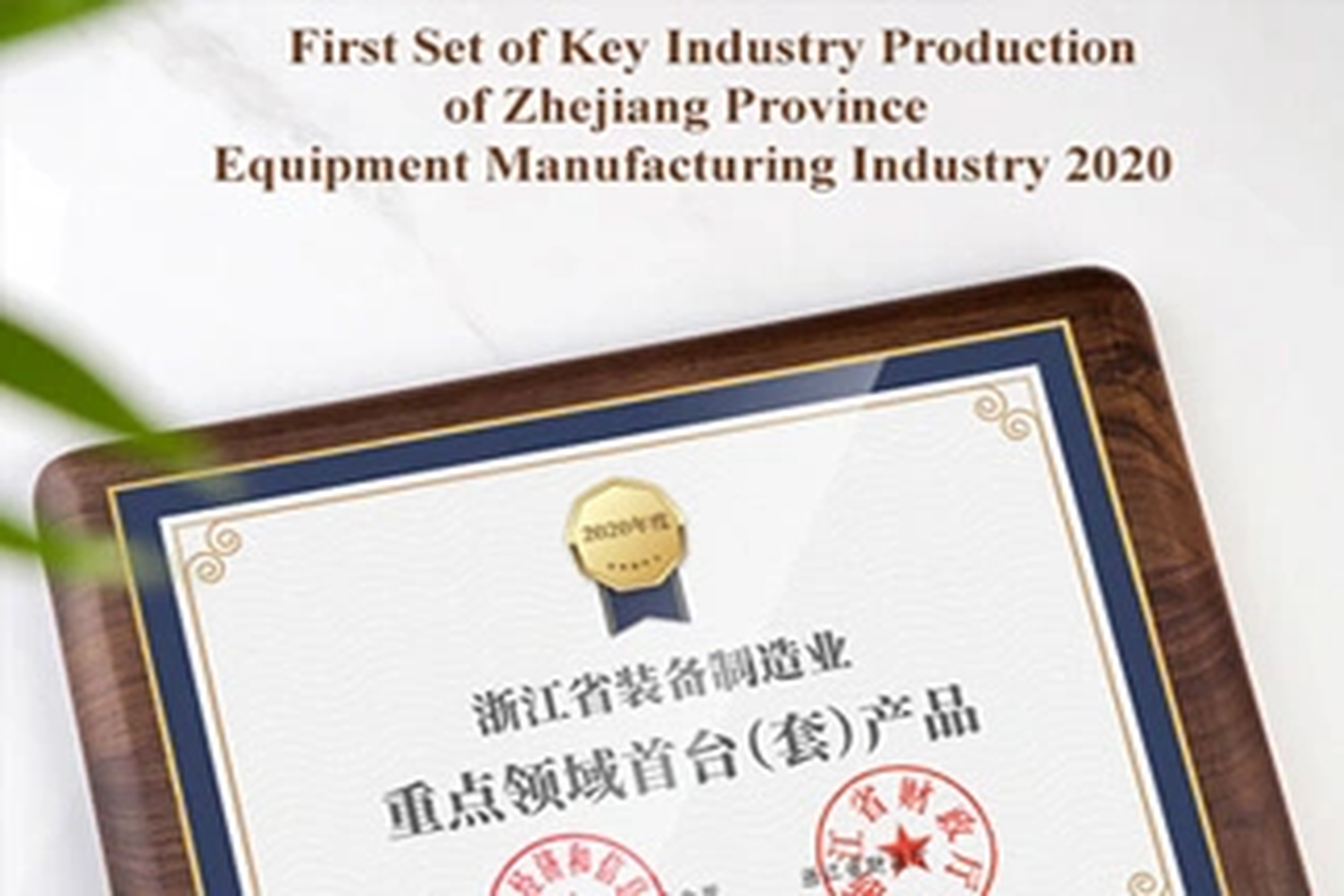 荣誉 | 新宝gg能源在2020年桐庐经济与产业发展大会上获得三项大奖！